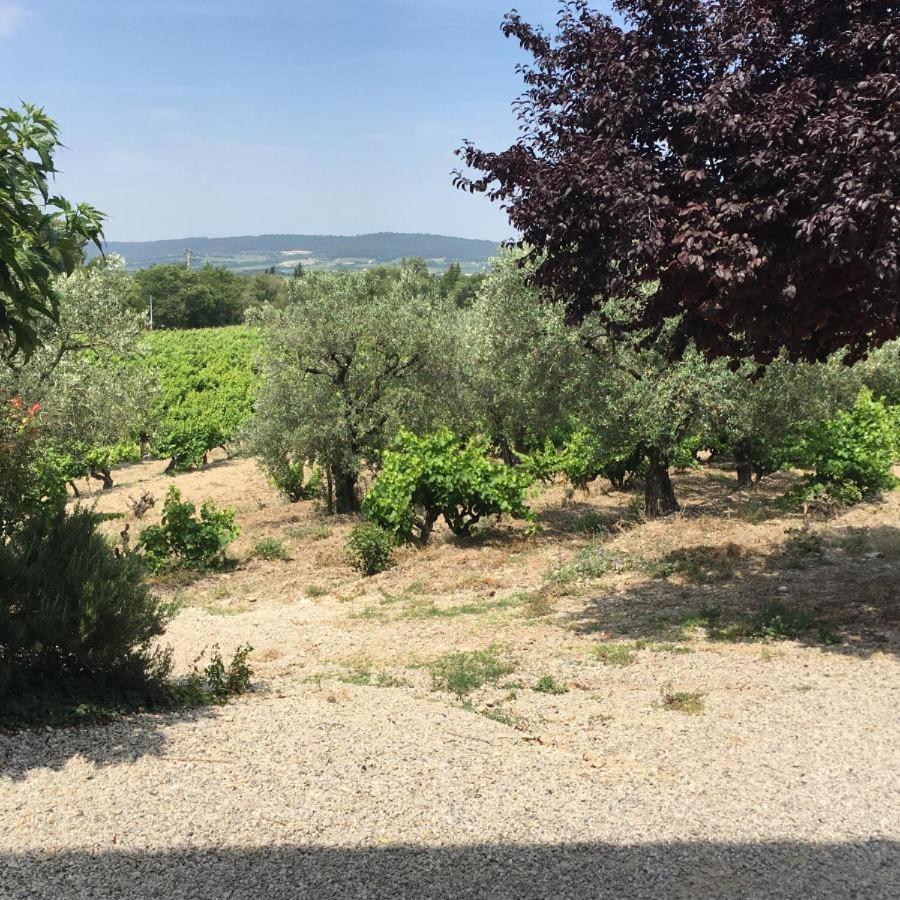 Вилла Mas Du Prescondu Mirabel-aux-Baronnies Экстерьер фото